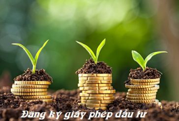 Đăng ký cấp giấy chứng nhận đầu tư không thuộc diện quyết định chủ trương đầu tư