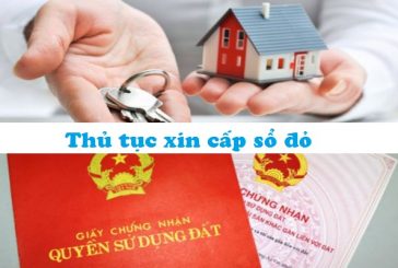 Thủ tục xin cấp sổ đỏ