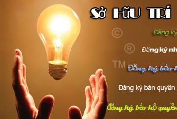 Dịch vụ đại diện đăng ký sở hữu trí tuệ tại Thanh Hóa