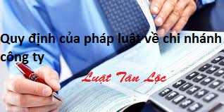 Quy định của pháp luật về chi nhánh công ty