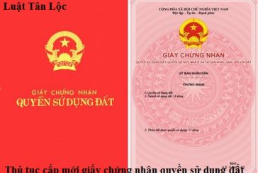 Thủ tục cấp mới giấy chứng nhận quyền sử dụng đất