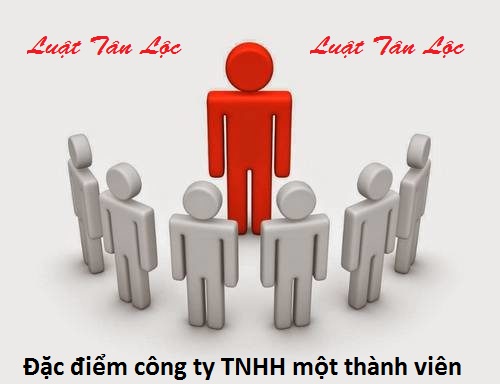 Đặc điểm công ty TNHH một thành viên (nguồn internet)