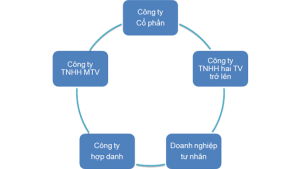 cac-loai-hinh-doanh-nghiep