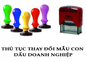 thu-tuc-thay-doi-mau-dau-tai-quang-ninh